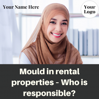 VIDEO: Mould in rental properties – Who is responsible?