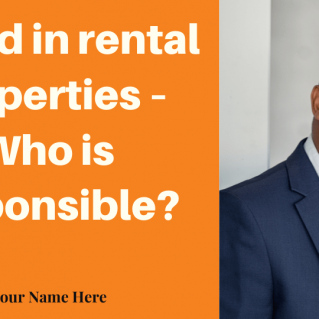 Brandable HD VIDEO – Mould in rental properties – Who is responsible?